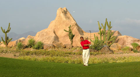 Desert Springs